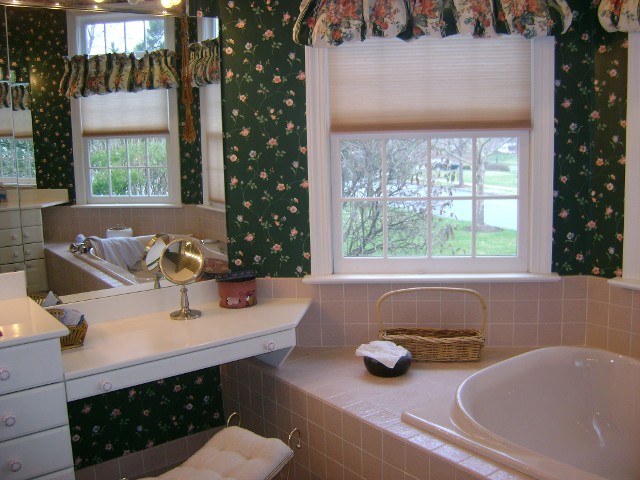 Bathroom Before