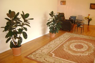 Beige Room - Before