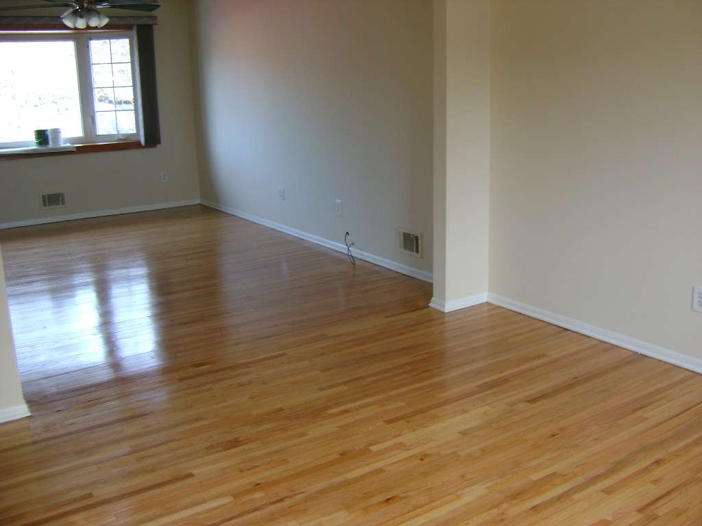 Dining/Living Room Before